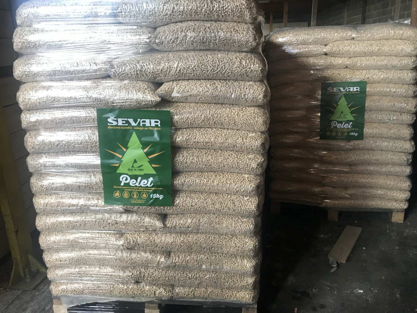 Ruski beli bor