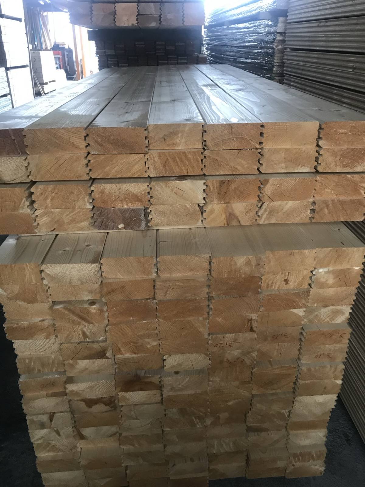 Ruski beli bor